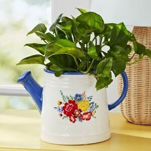 2024 🦋 New The Pioneer Woman 6-Inch Blue & White Watering Can Ceramic Planter